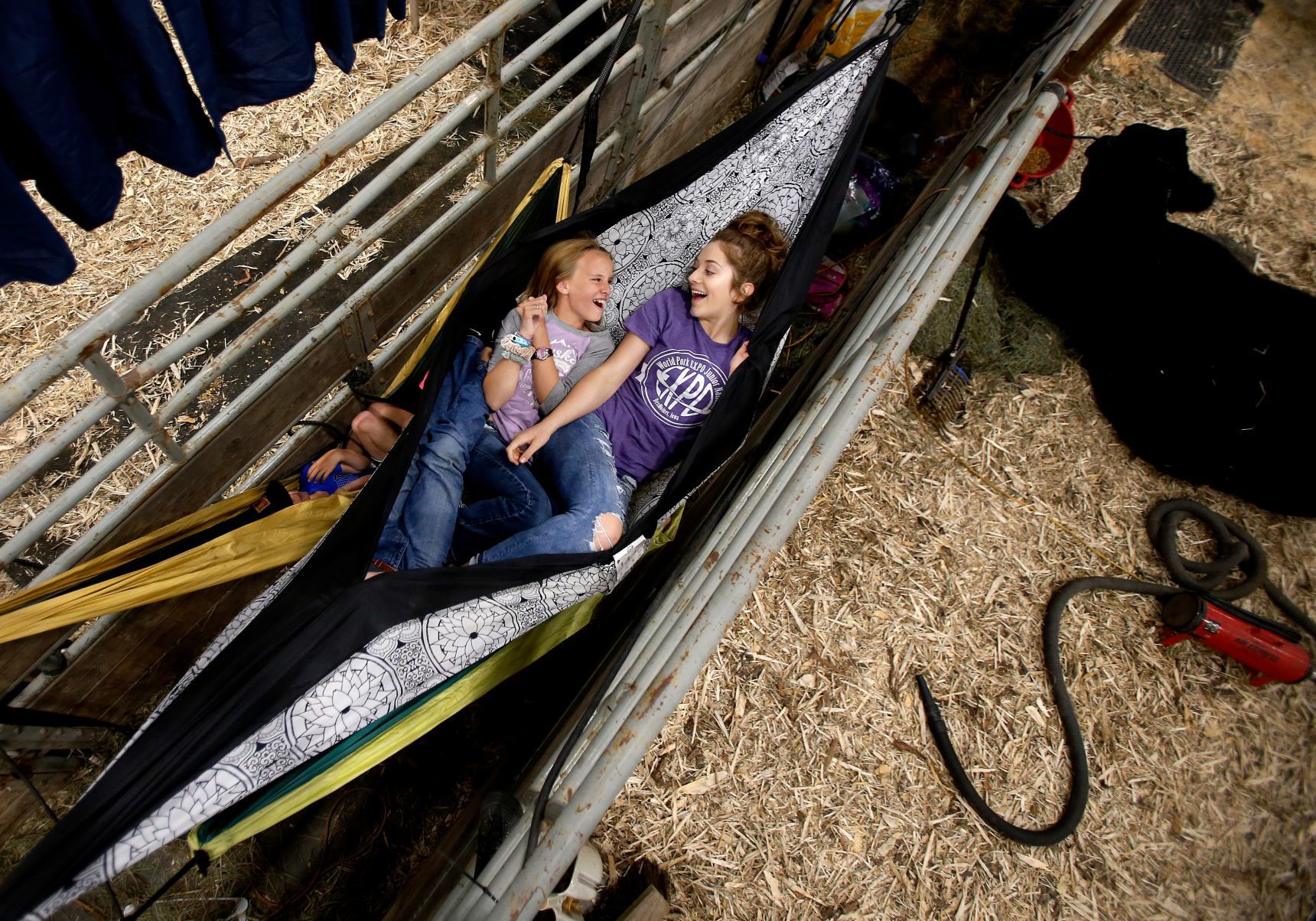 WRAPPED UP IN THE FAIR